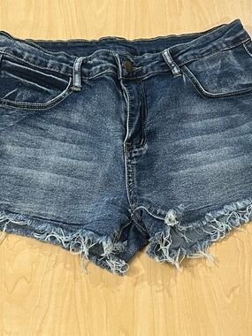 SHEIN Distressed Frayed Hem Denim Jean Shorts